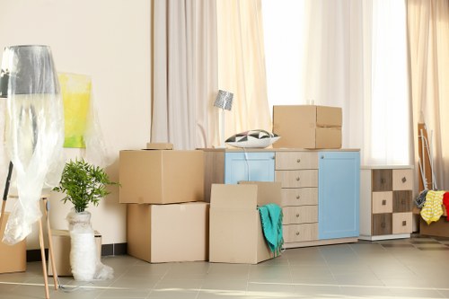 Professional house removals planning in Belsizepark